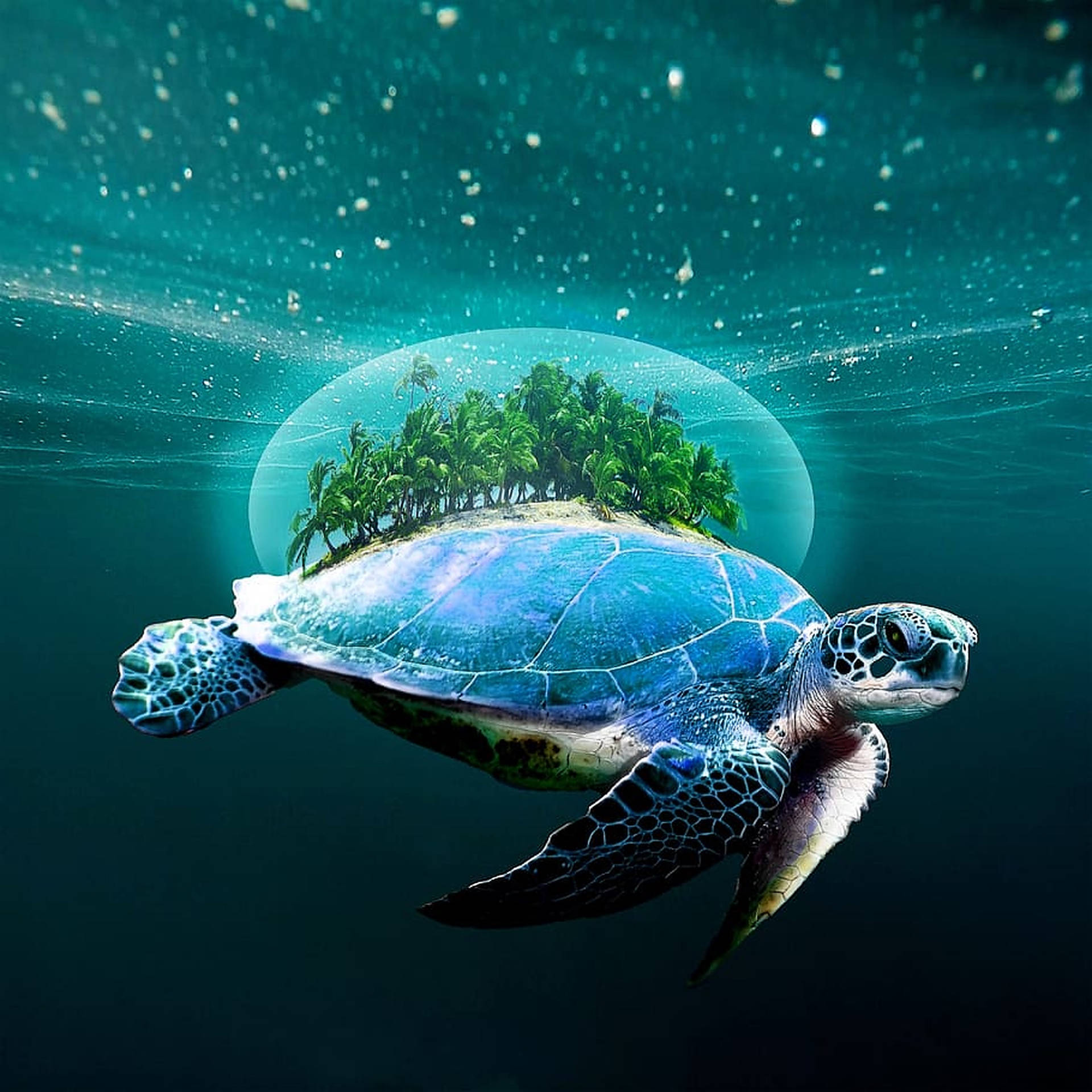 Turtle With Miniature Island Background