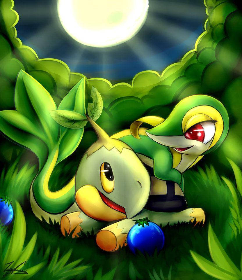 Turtwig With Snivy Under Moon Background