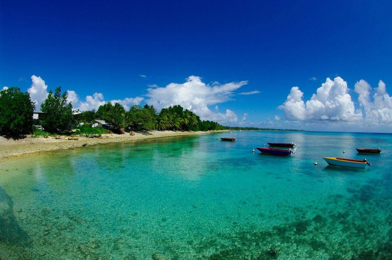 Tuvalu Clear Emerald Sea Background