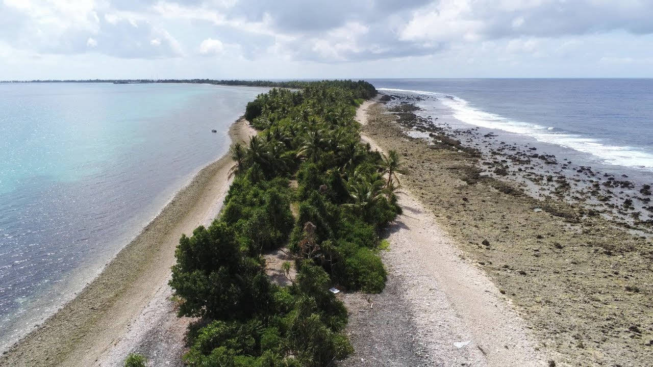 Tuvalu Trees In Pathway Background