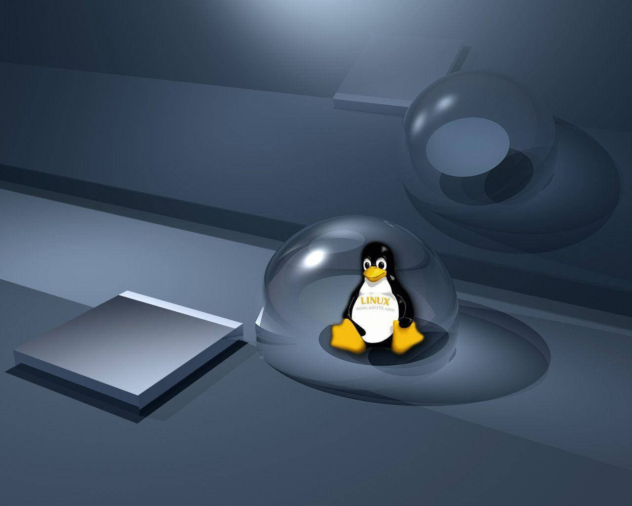 Tux Inside A Bubble Linux Desktop Digital Design Background