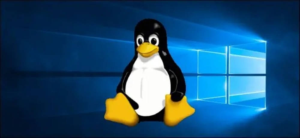 Tux Linux Os Logo Over Windows