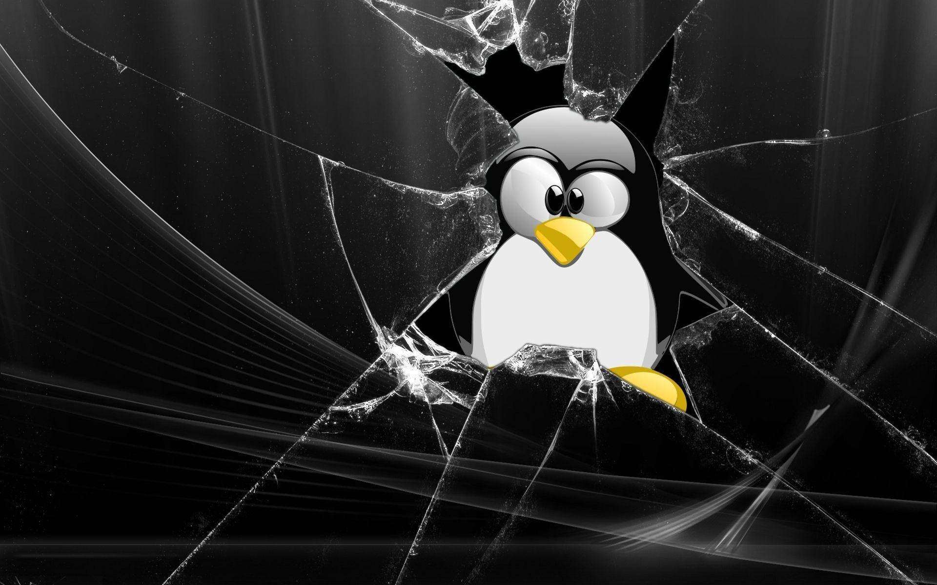 Tux On A Broken Glass Linux Desktop