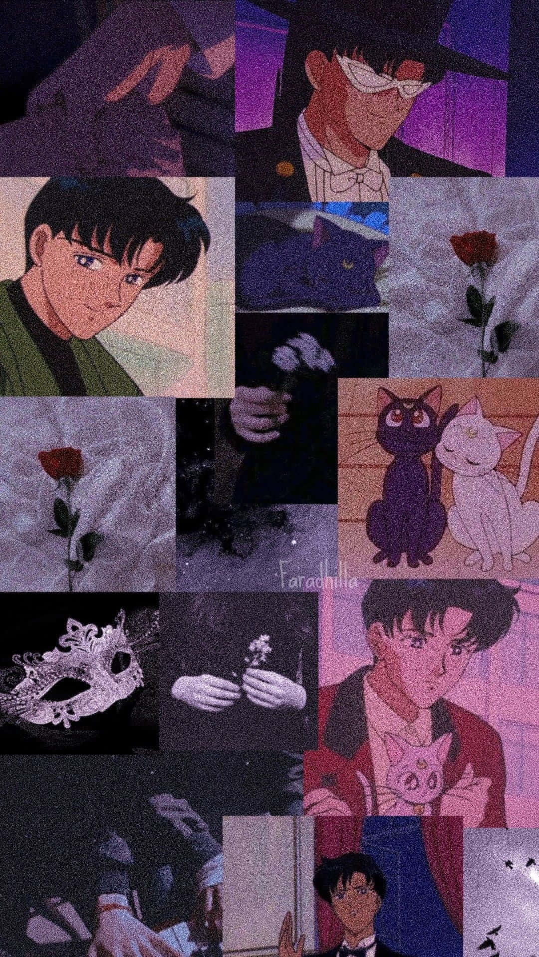 Tuxedo Mask - Ready To Save The Day Background