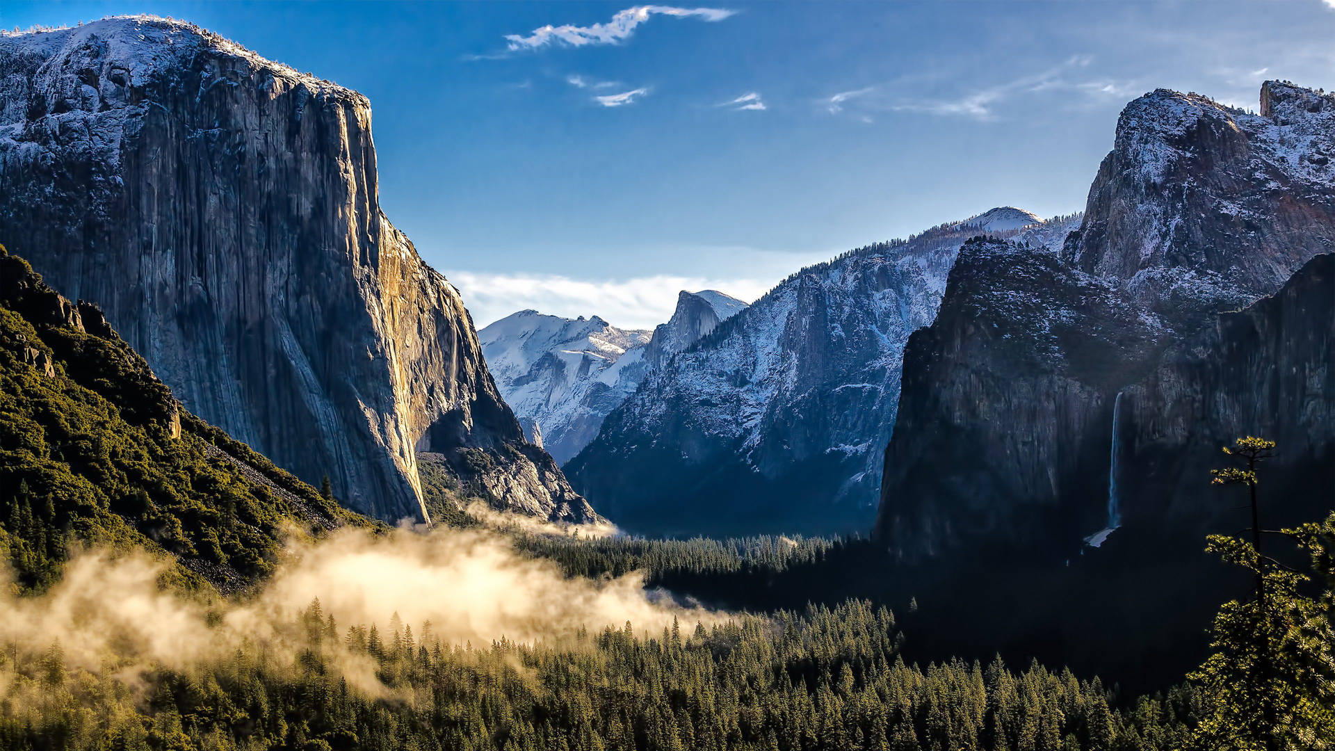 Tv 4k Mountain And Forest Fog Background