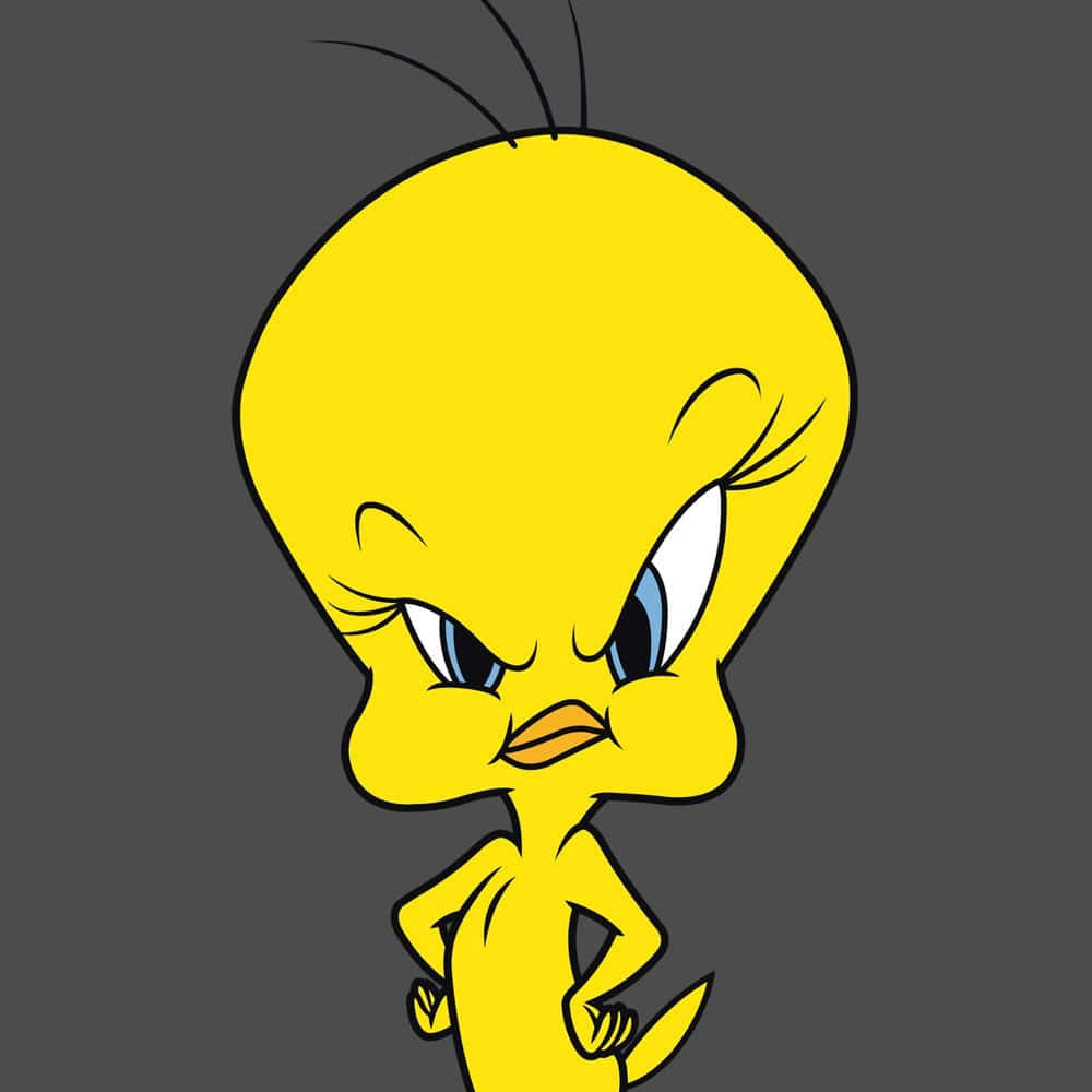 Tweety Bird 1000 X 1000 Background