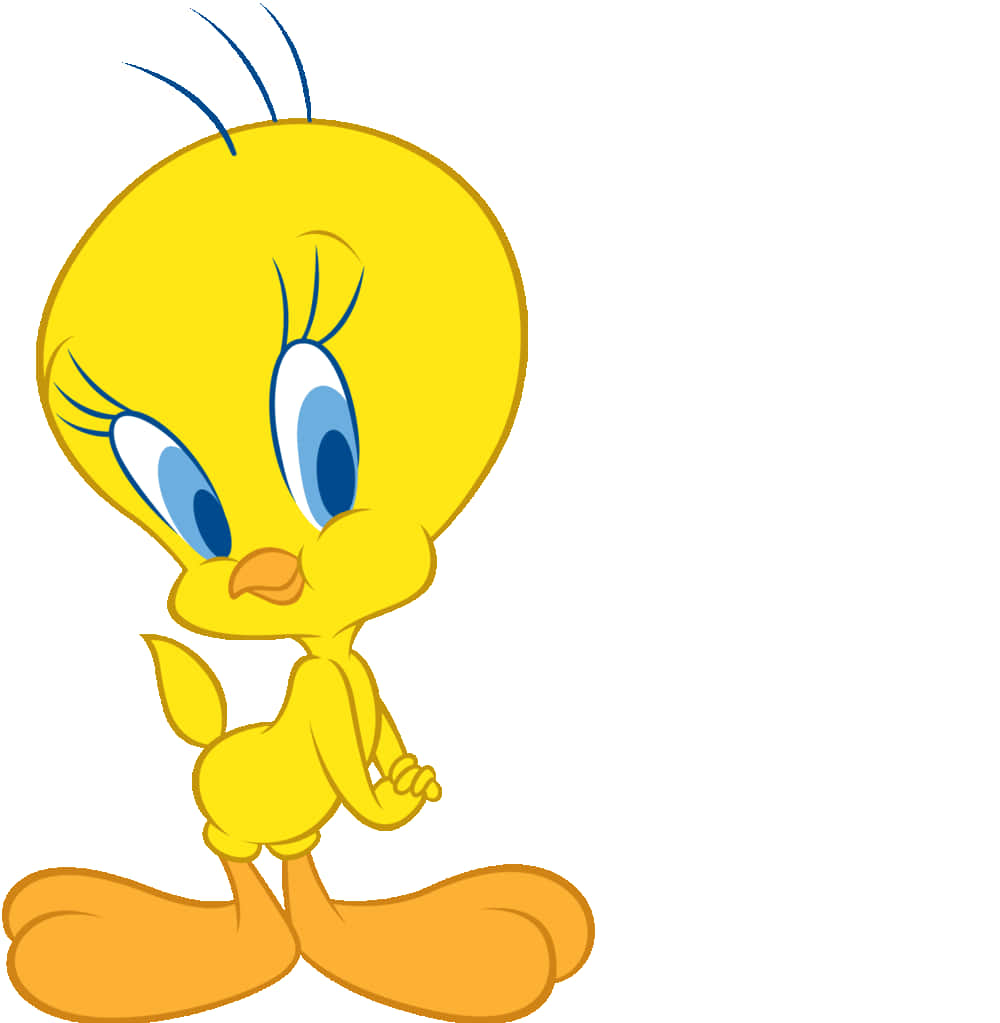 Tweety Bird 1000 X 1023 Background