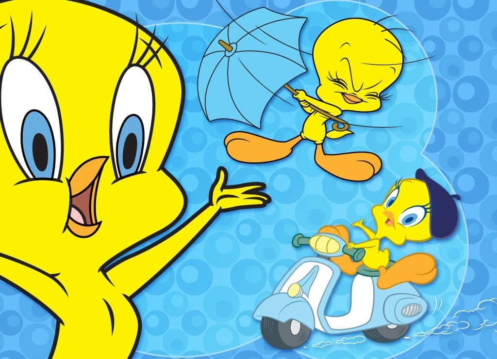 Tweety Bird 1024 X 741 Background