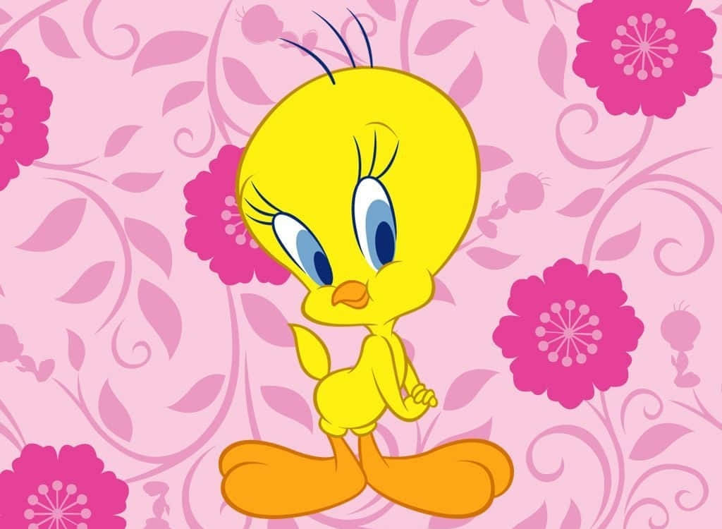 Tweety Bird 1024 X 750 Background