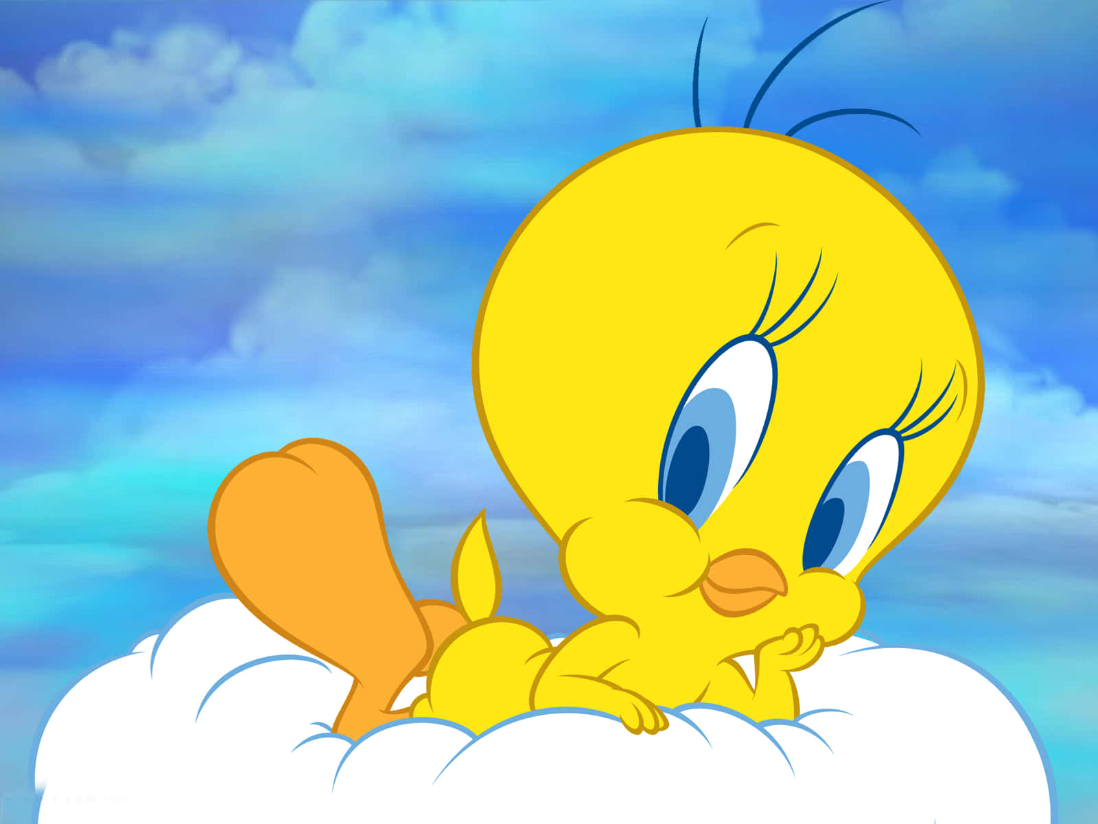 Tweety Bird 1600 X 1200 Background