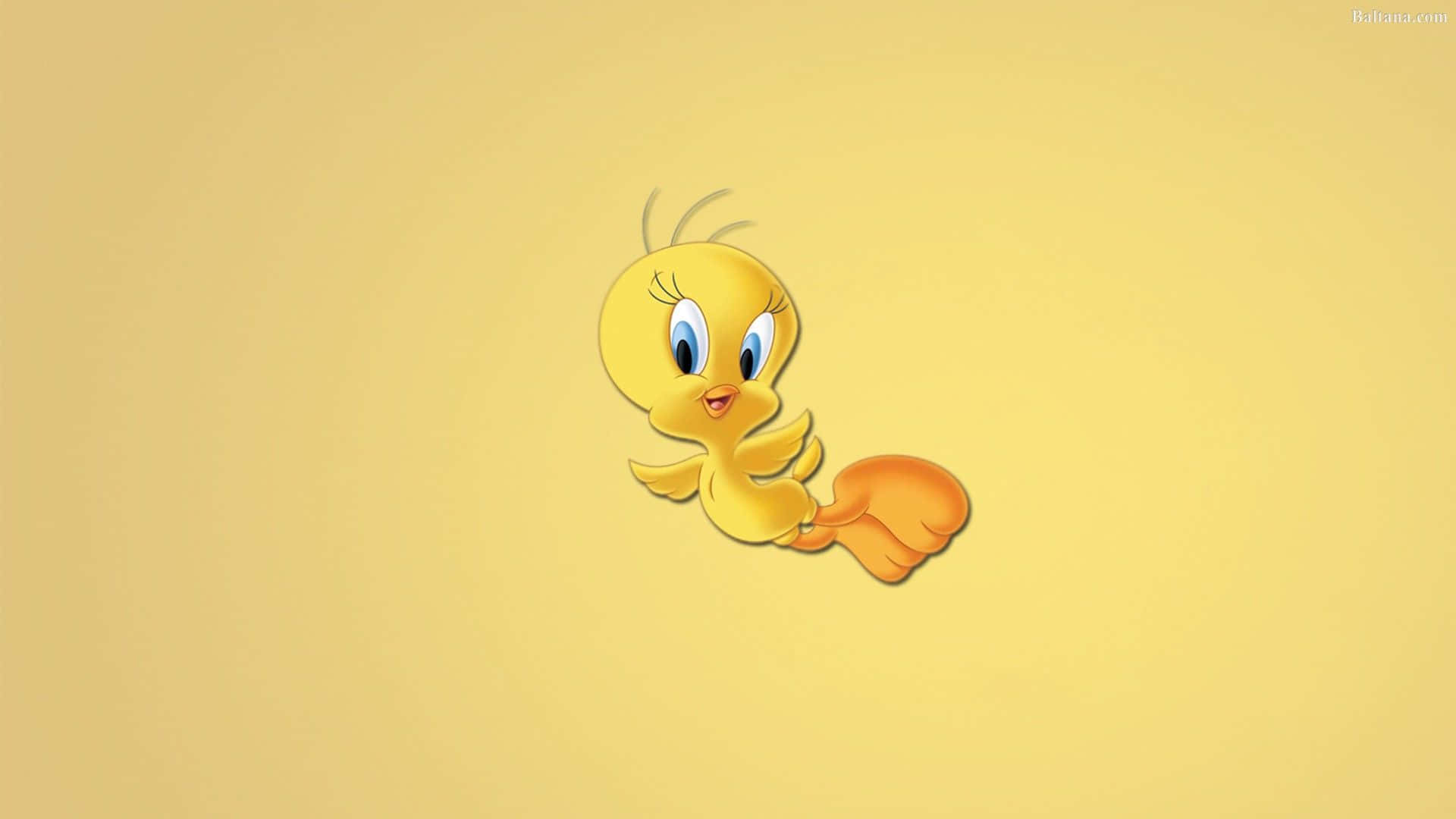 Tweety Bird 1920 X 1080 Background