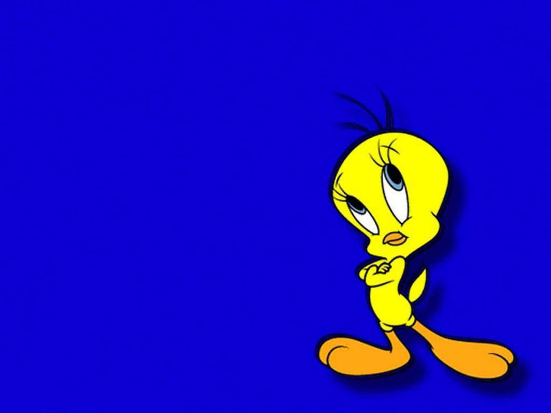 Tweety Bird 1920 X 1440 Background