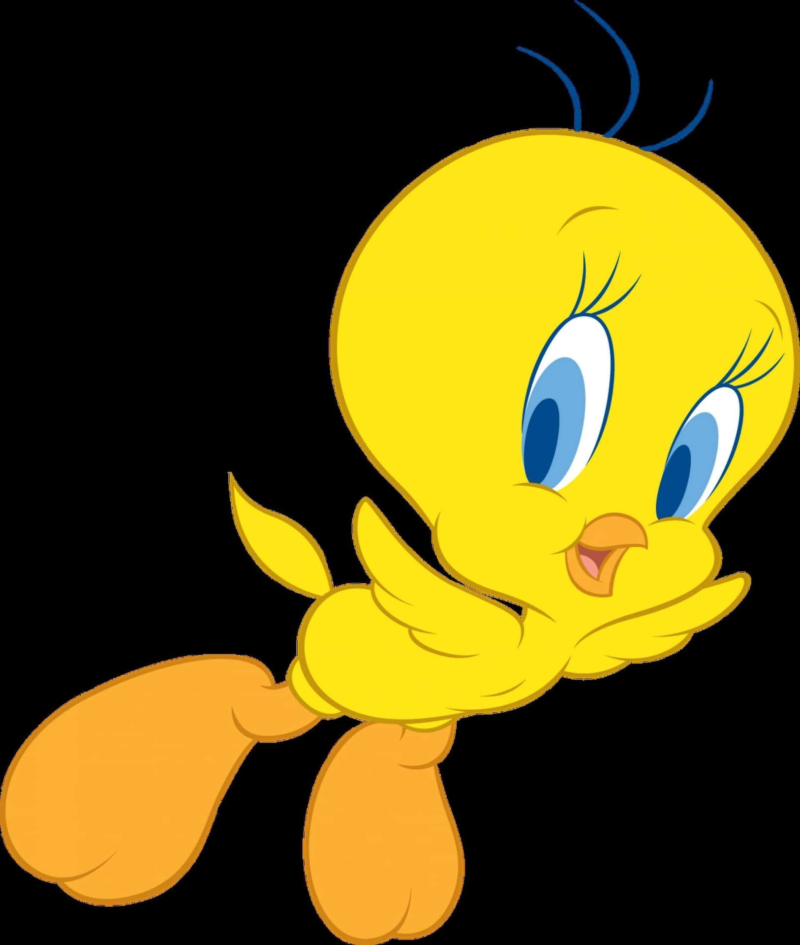 Tweety Bird 1920 X 2267 Background
