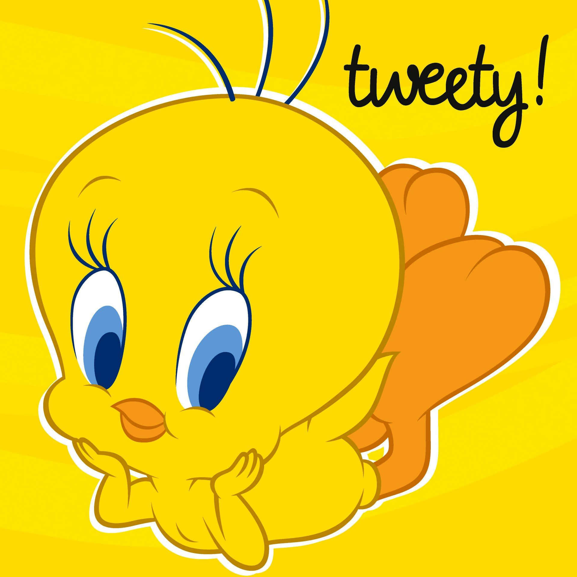 Tweety Bird 1949 X 1949 Background