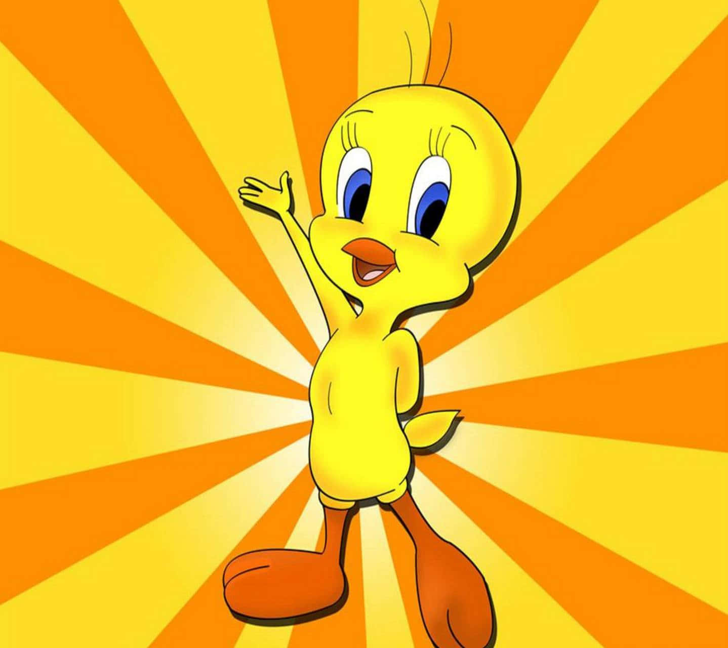 Tweety Bird Background