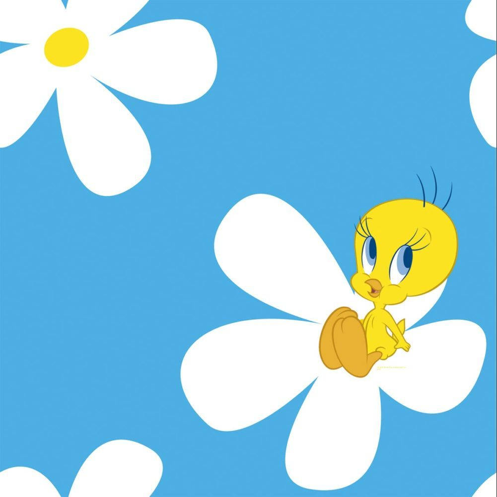 Tweety Bird On A Flower Background