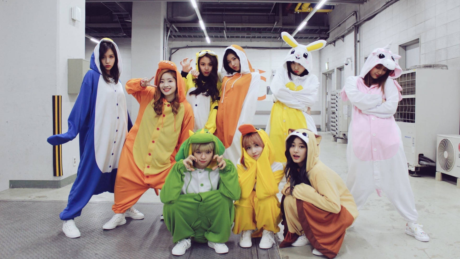 Twice 4k Wearing Animal Onesies Background