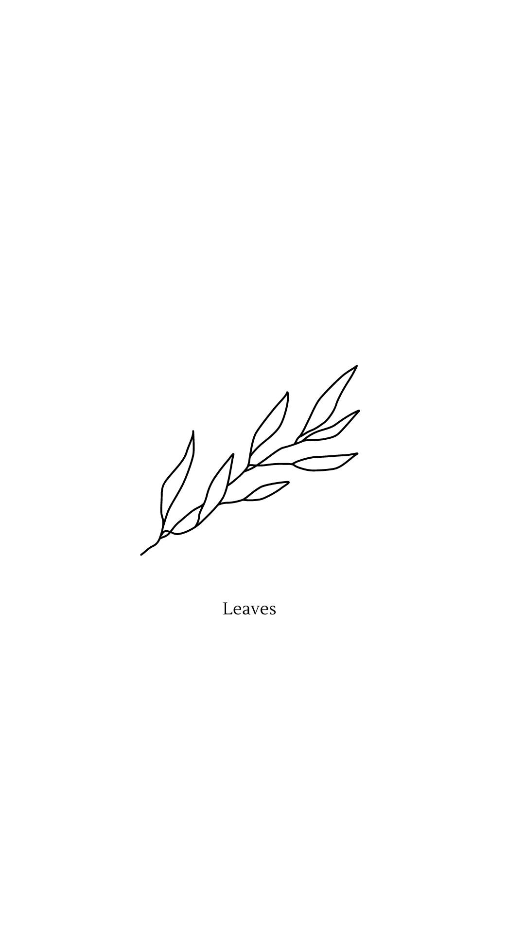 Twig Of Leaves In Cute White Aesthetic Background