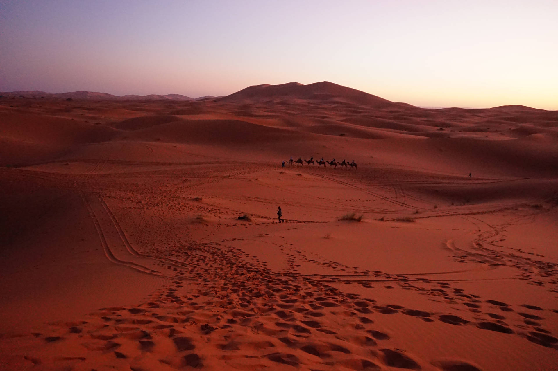 Twilight At The Sahara Background