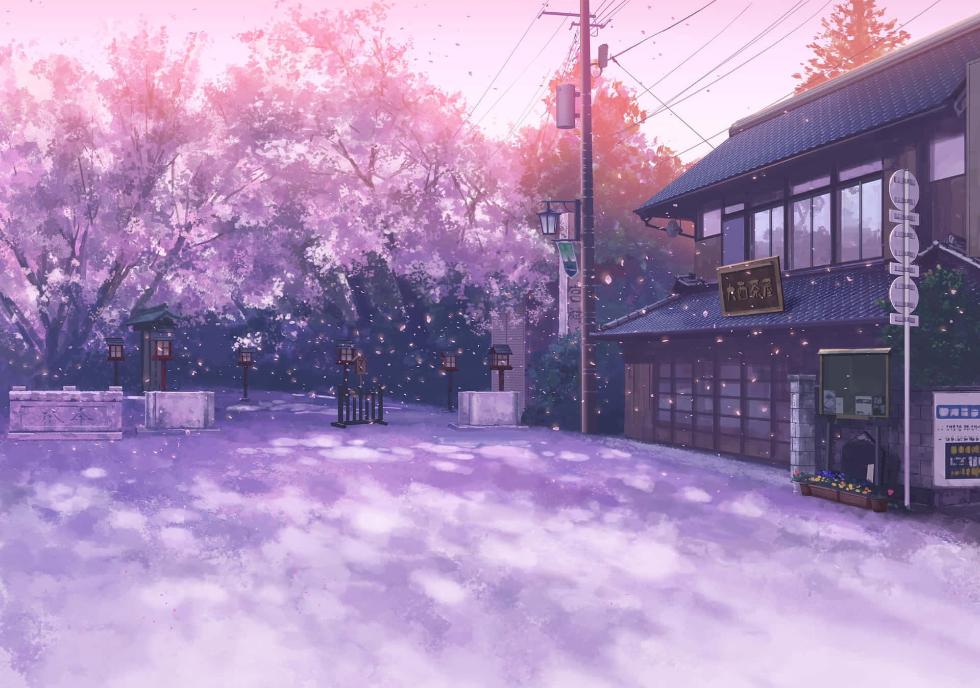 Twilight Cherry Blossoms Anime Scene Background