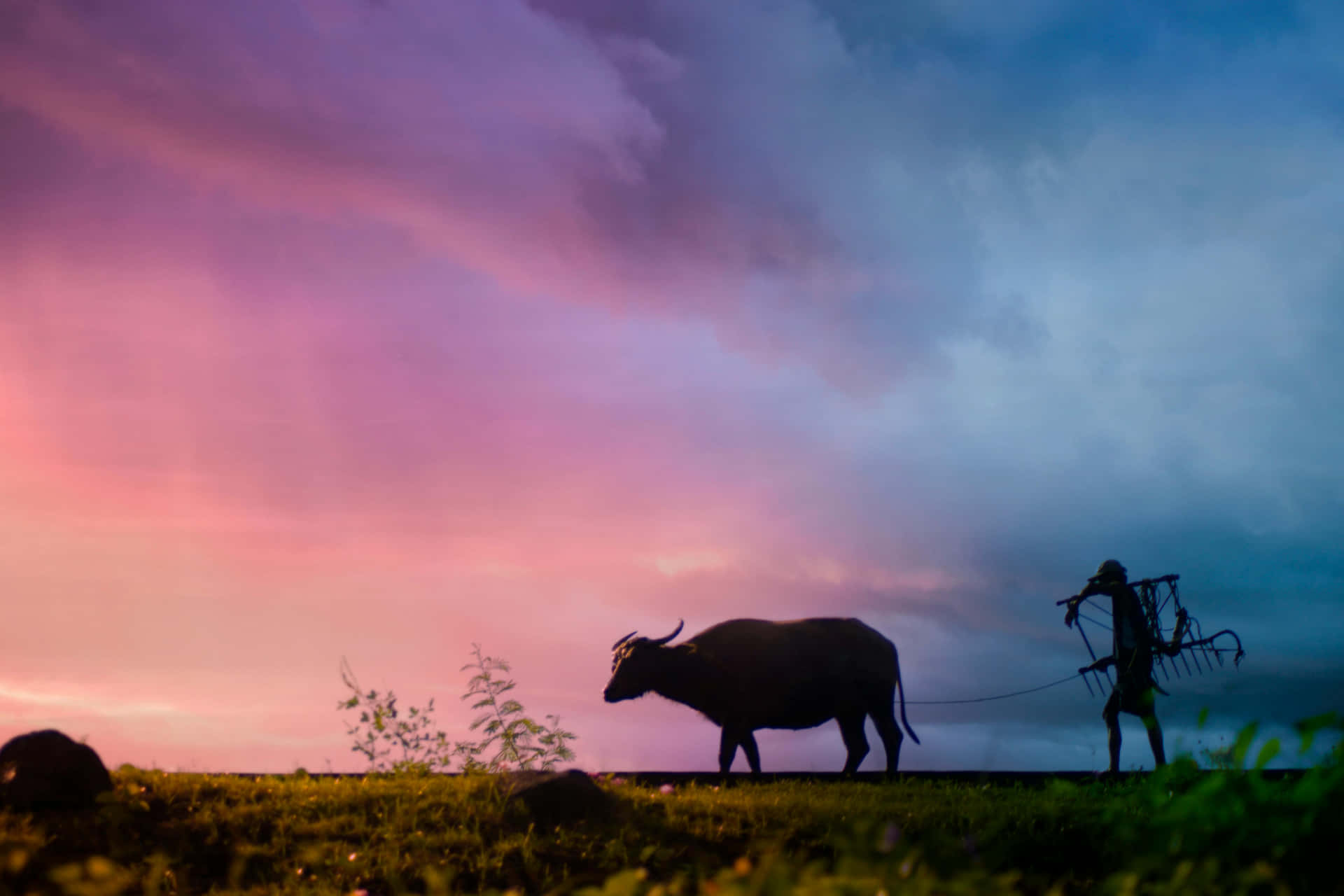 Twilight Farming Silhouette Background