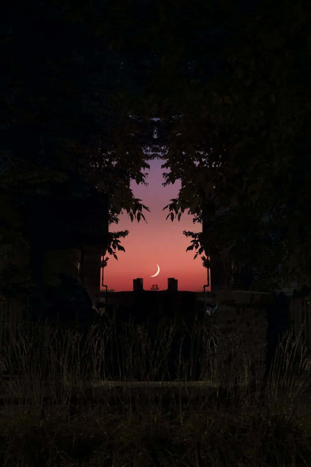 Twilight Silhouette Nature Scene Background
