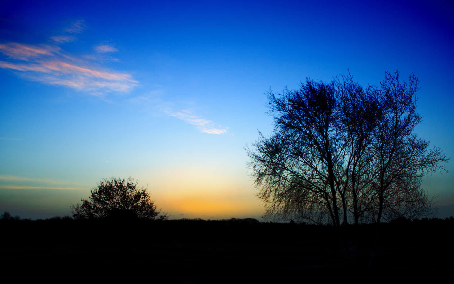 Twilight Silhouette Trees Landscape