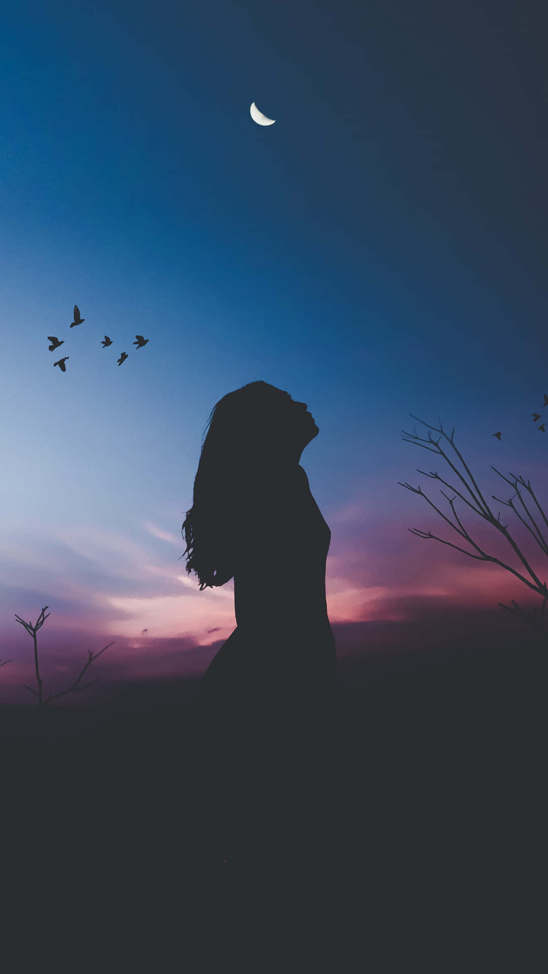 Twilight Silhouettewith Crescent Moon Background