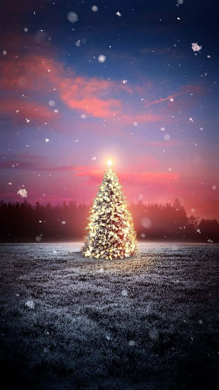 Twilight Snowfall Christmas Tree Background