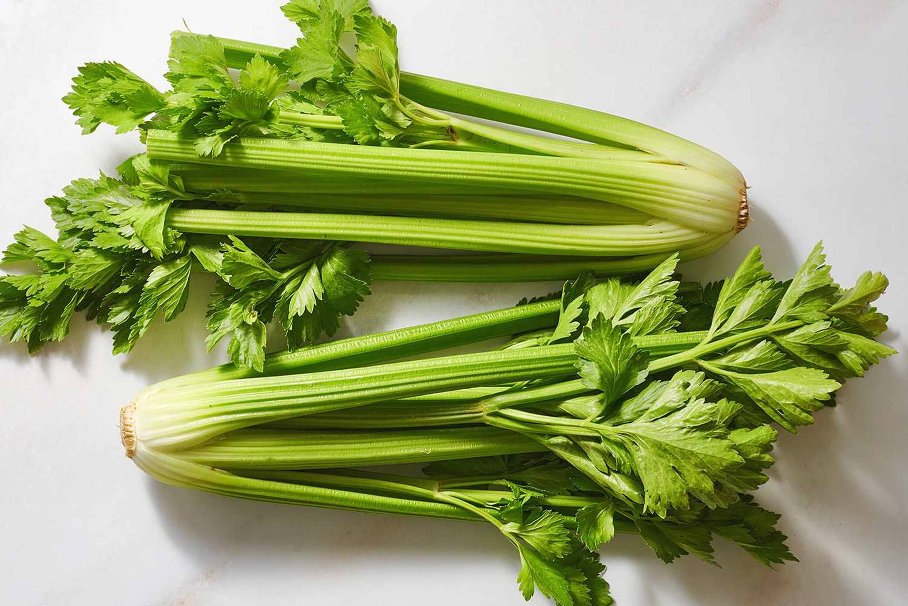 Twin Celery On White Tabletop Background