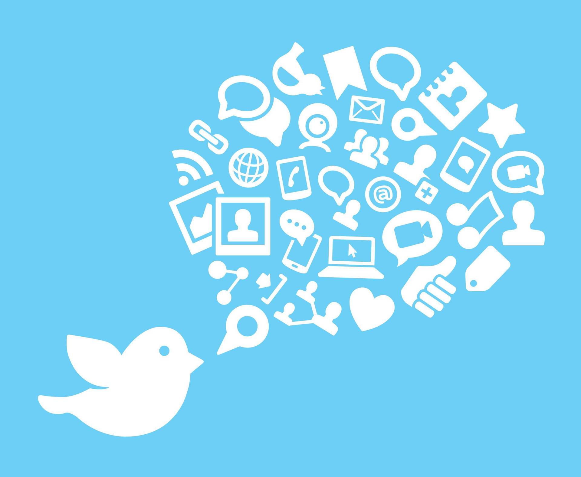 Twitter Bird Social Media Background