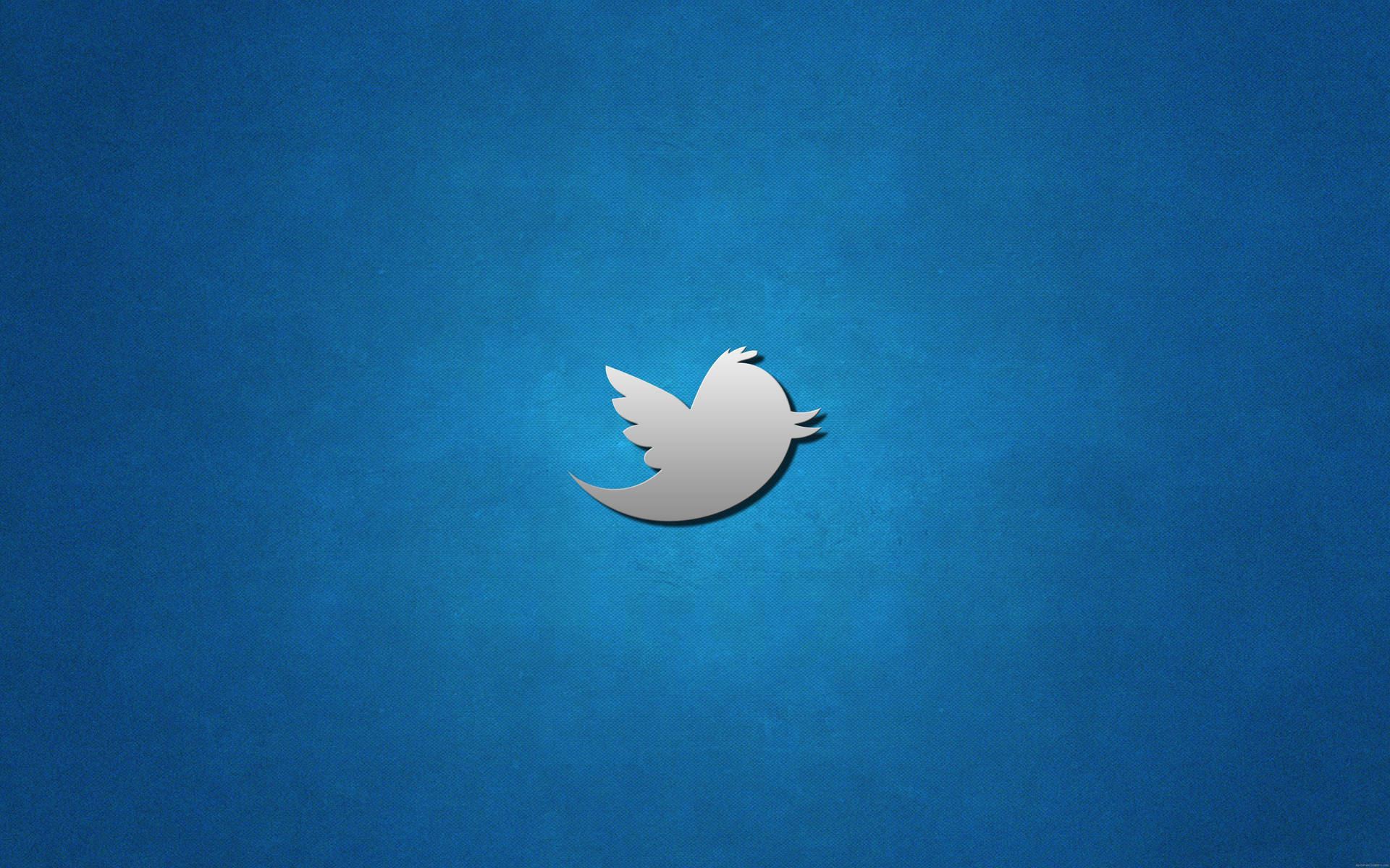 Twitter Logo Blue Background Background