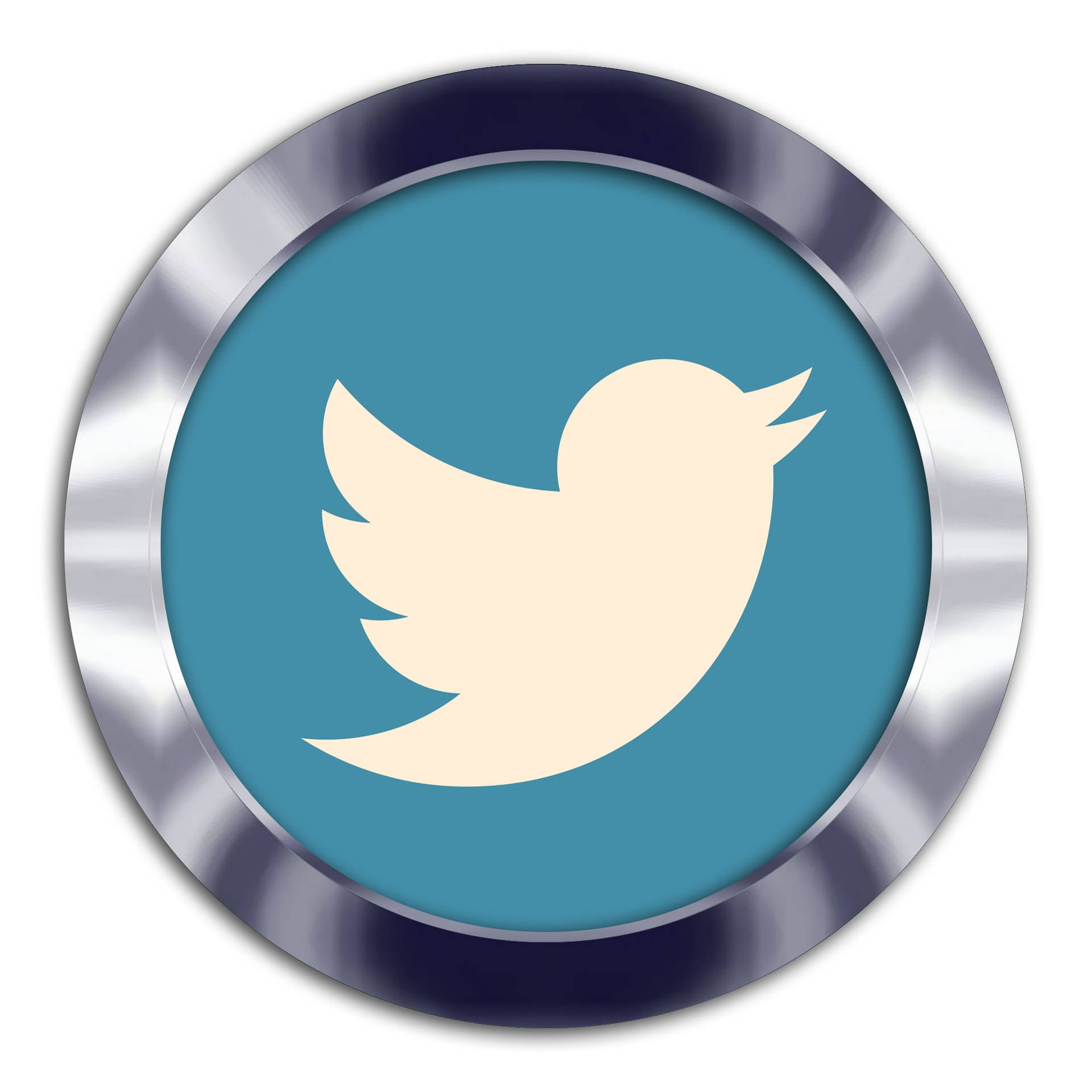Twitter Logo In Silver Frame Background