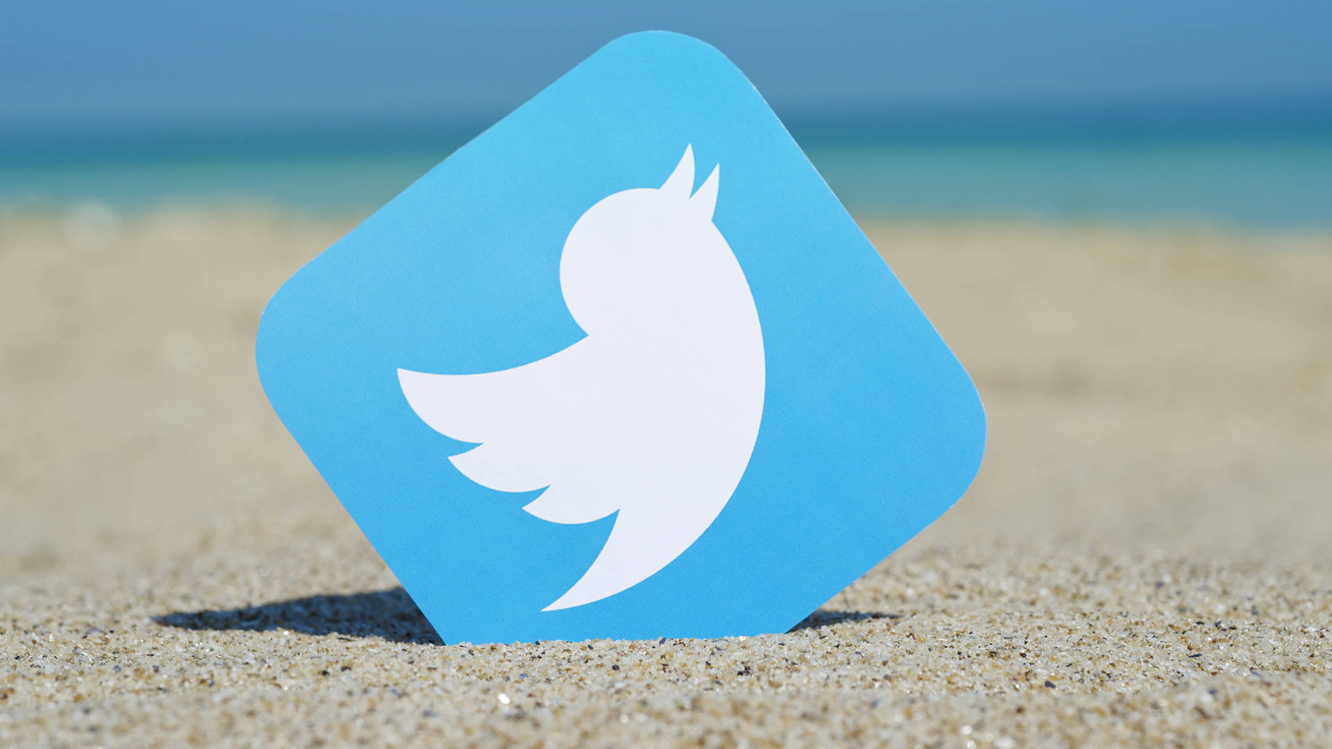 Twitter Logo In The Beach Background
