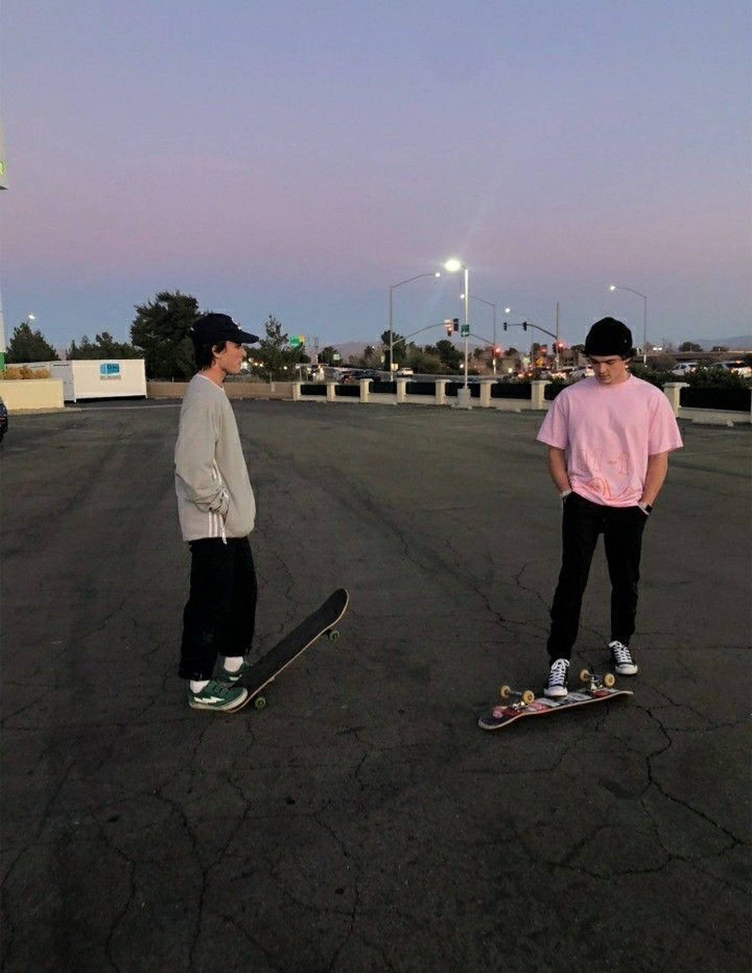 Two Aesthetic Skater Boys Background