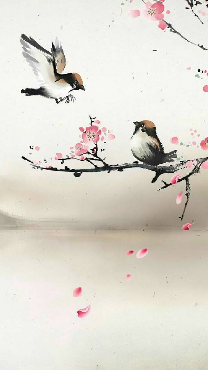 Two Birds Art Drawing