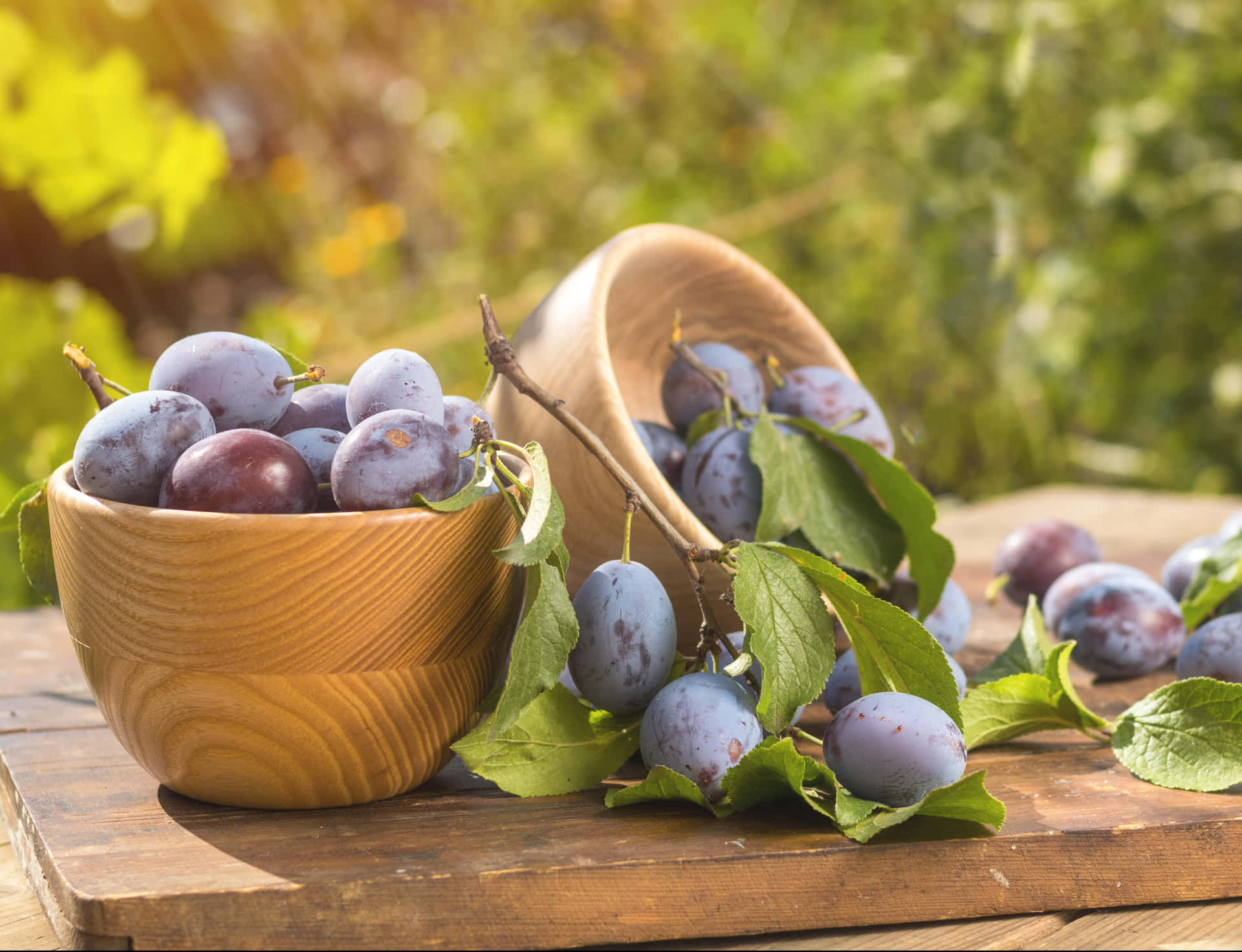 Two Bowls Of Damson Plums Background