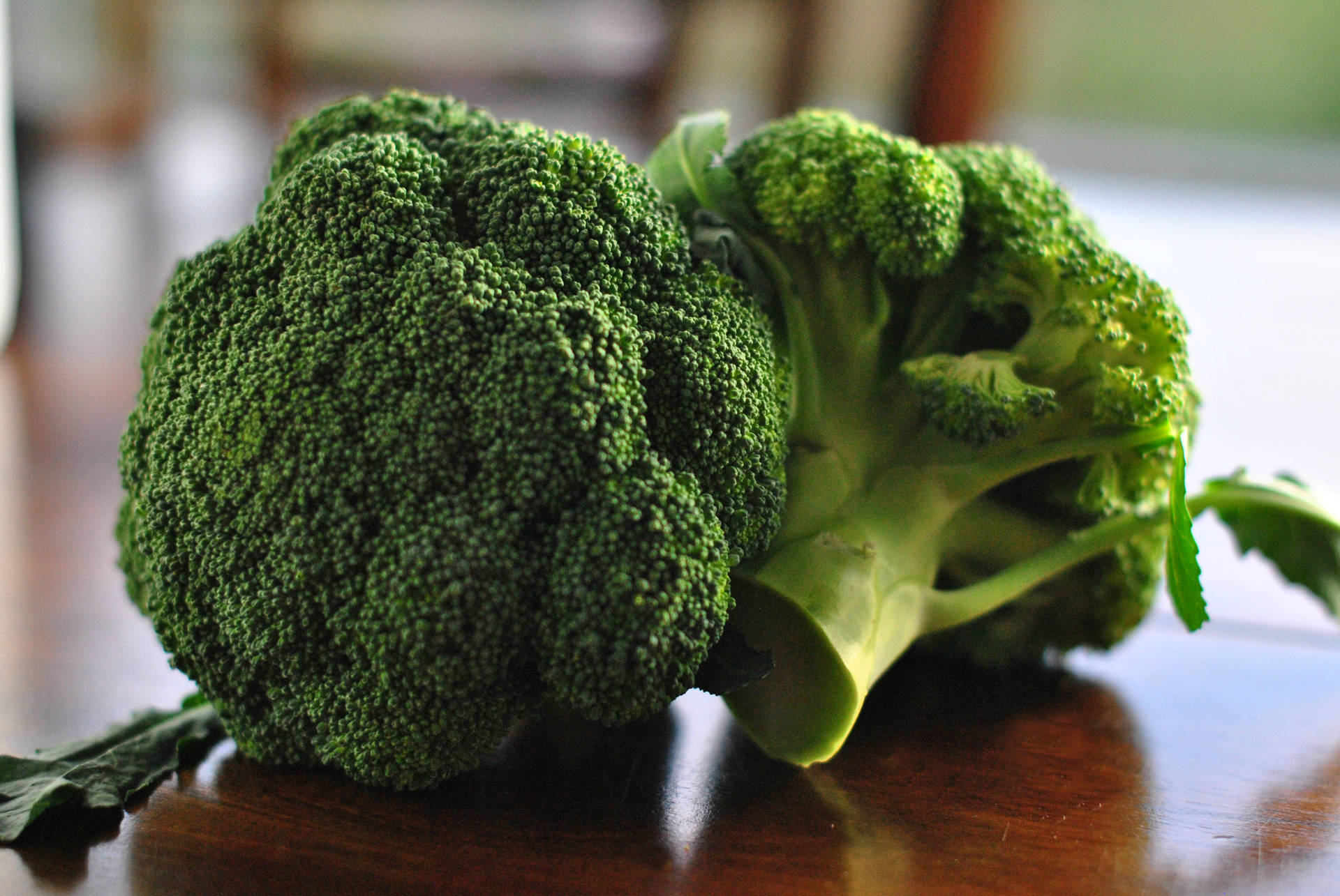 Two Broccoli On Brown Table Background