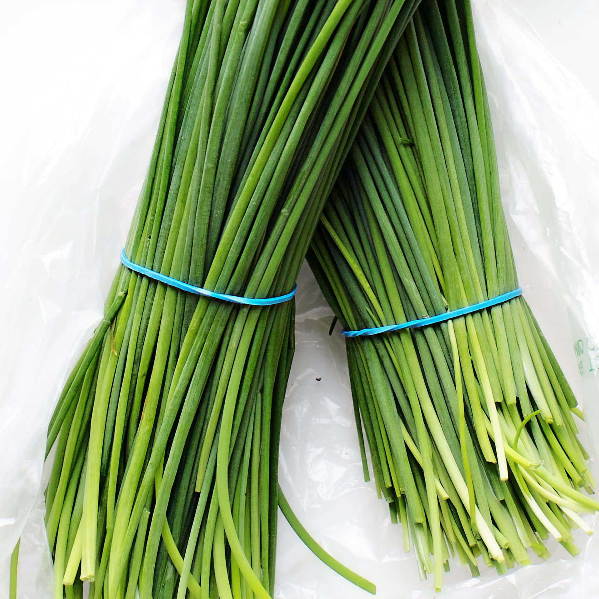 Two Bunches Of Chives On Plastic Bag Background