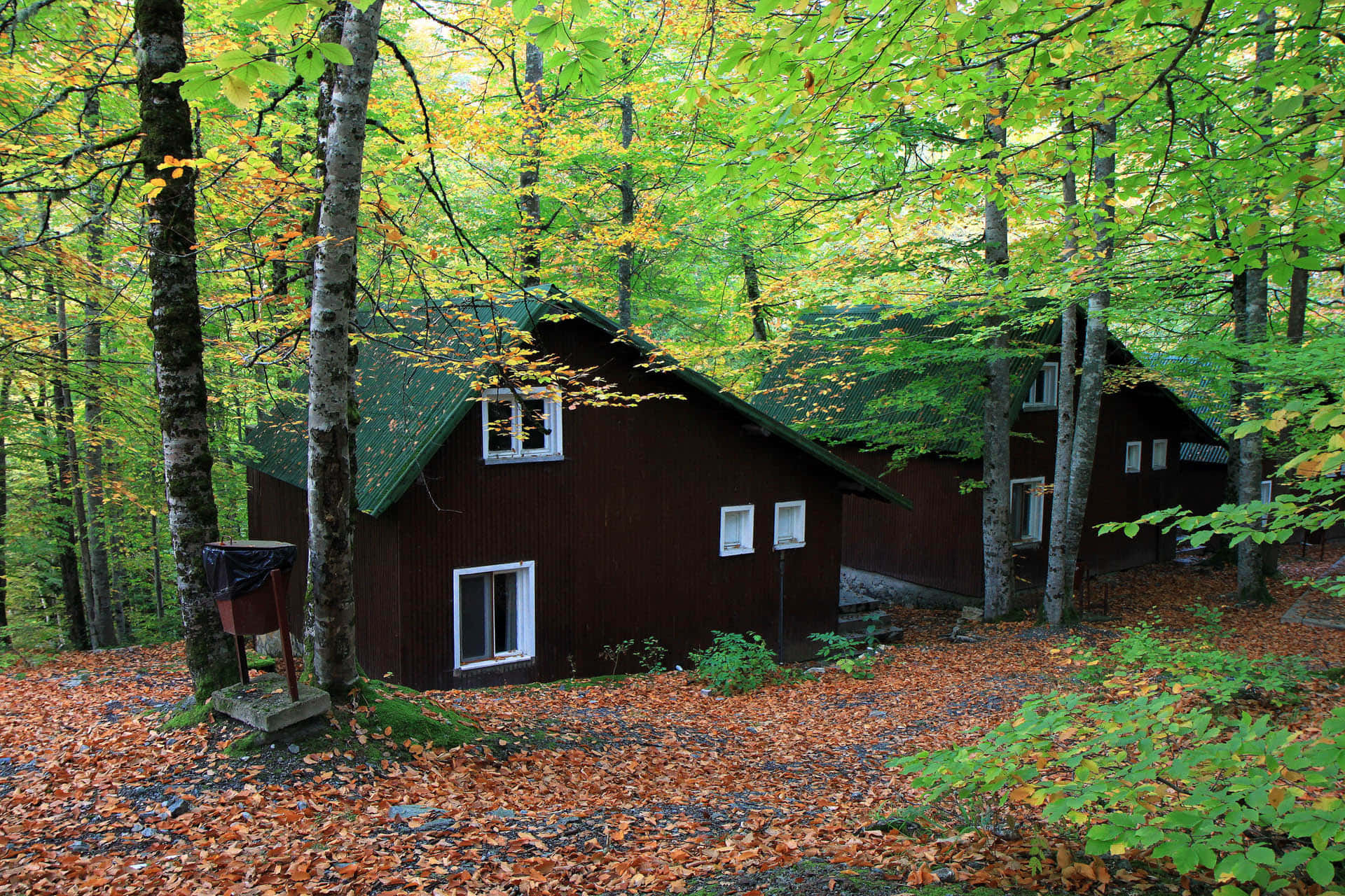 Two Cabins In The Woods Background