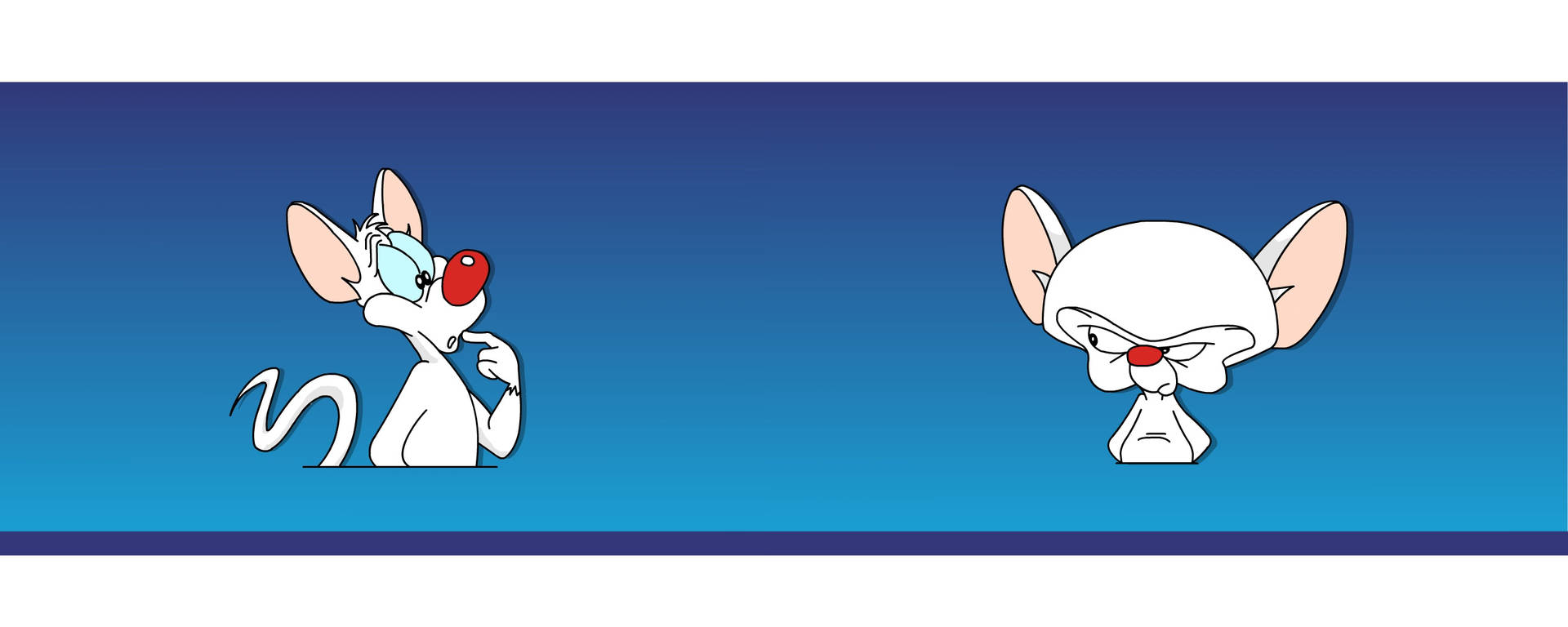 Two Characters Of Cerebral Pinky And The Brain Background