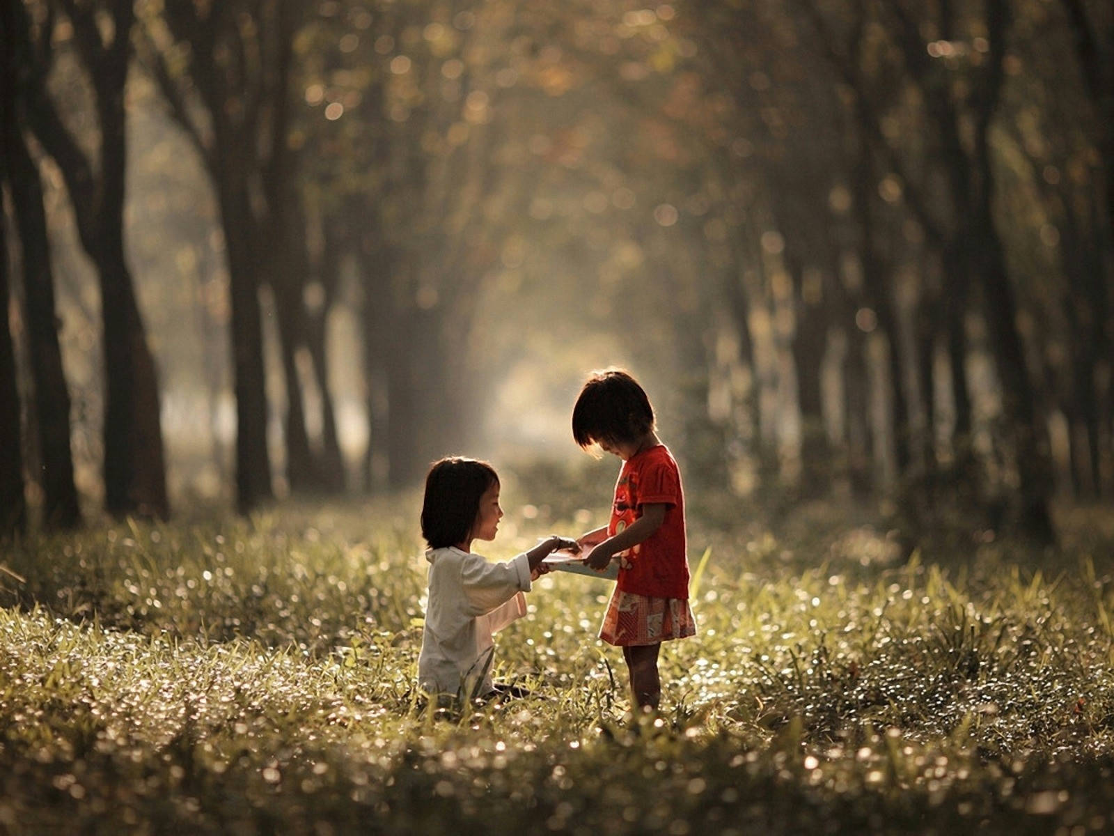 Two Children Playing In The Forest Background