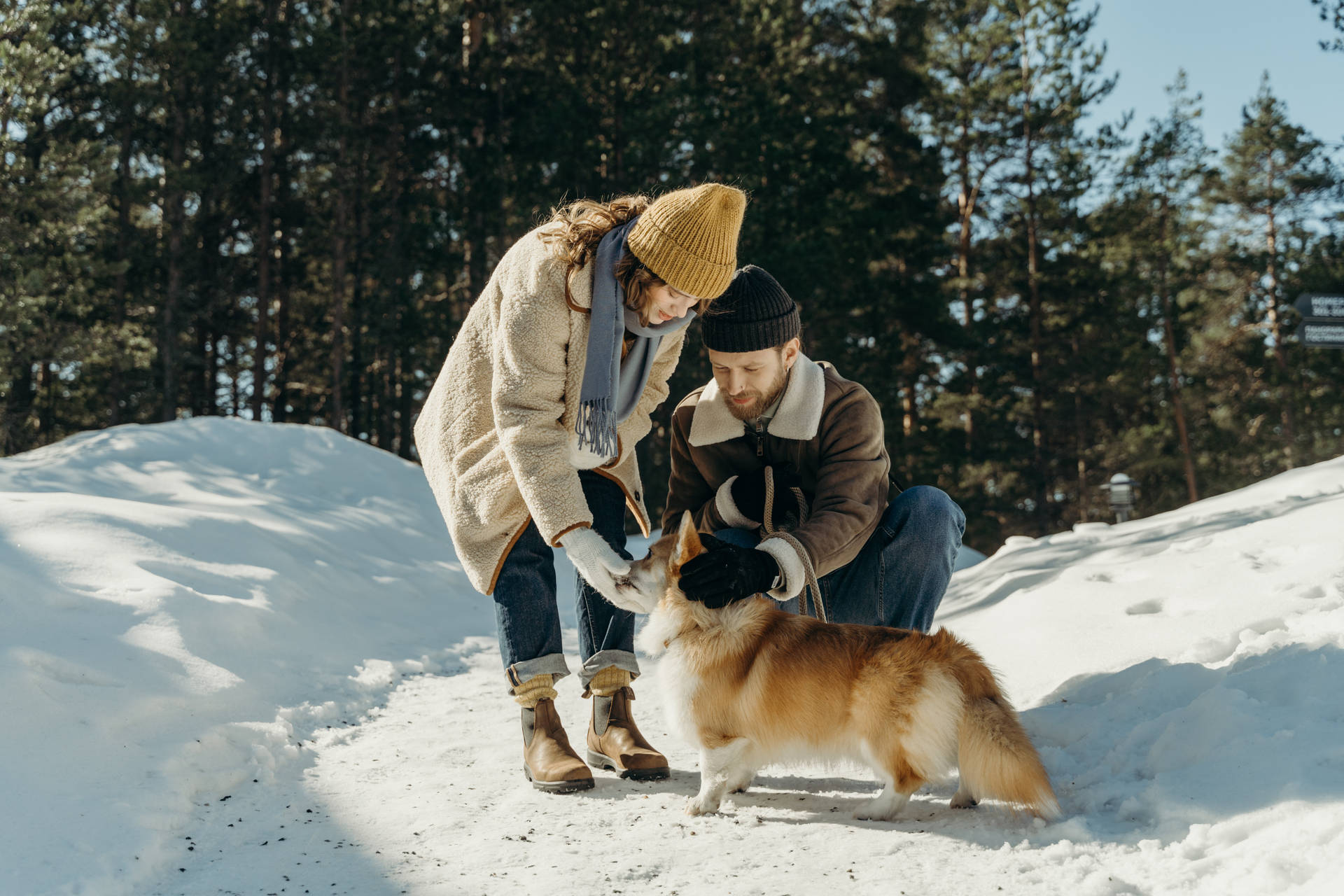Two Cool People With Dog During Winter Background