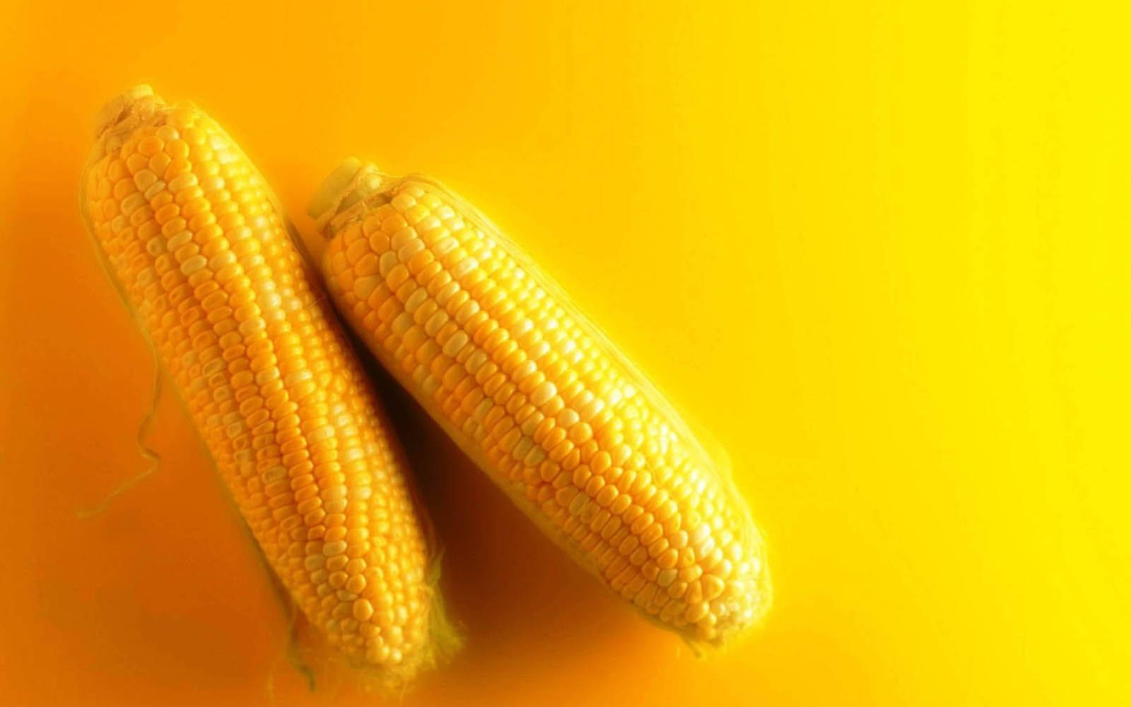 Two Corns On Yellow Surface Background