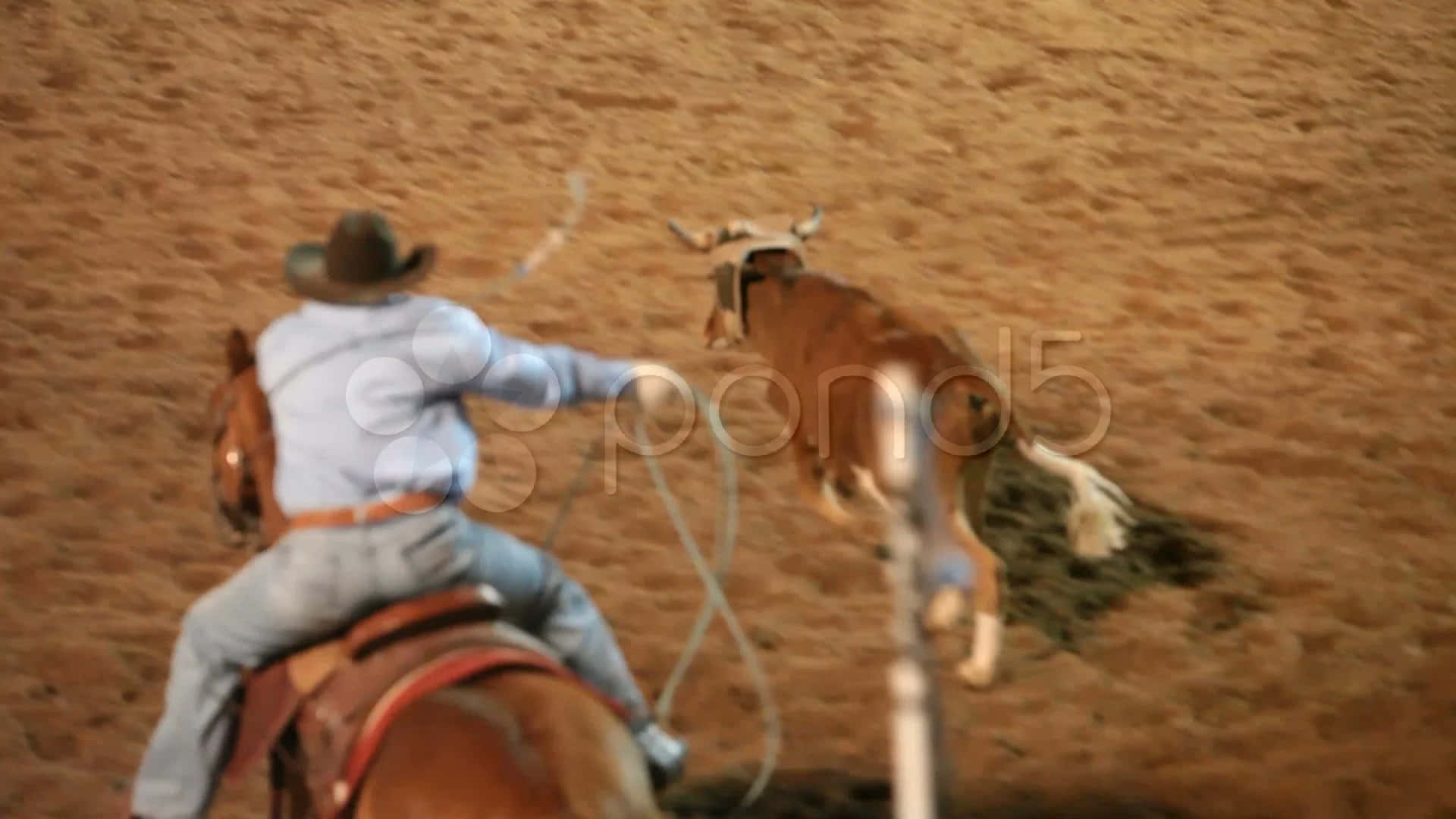 Two Cowboys Engaged In The Thrilling Sport Of Team Roping