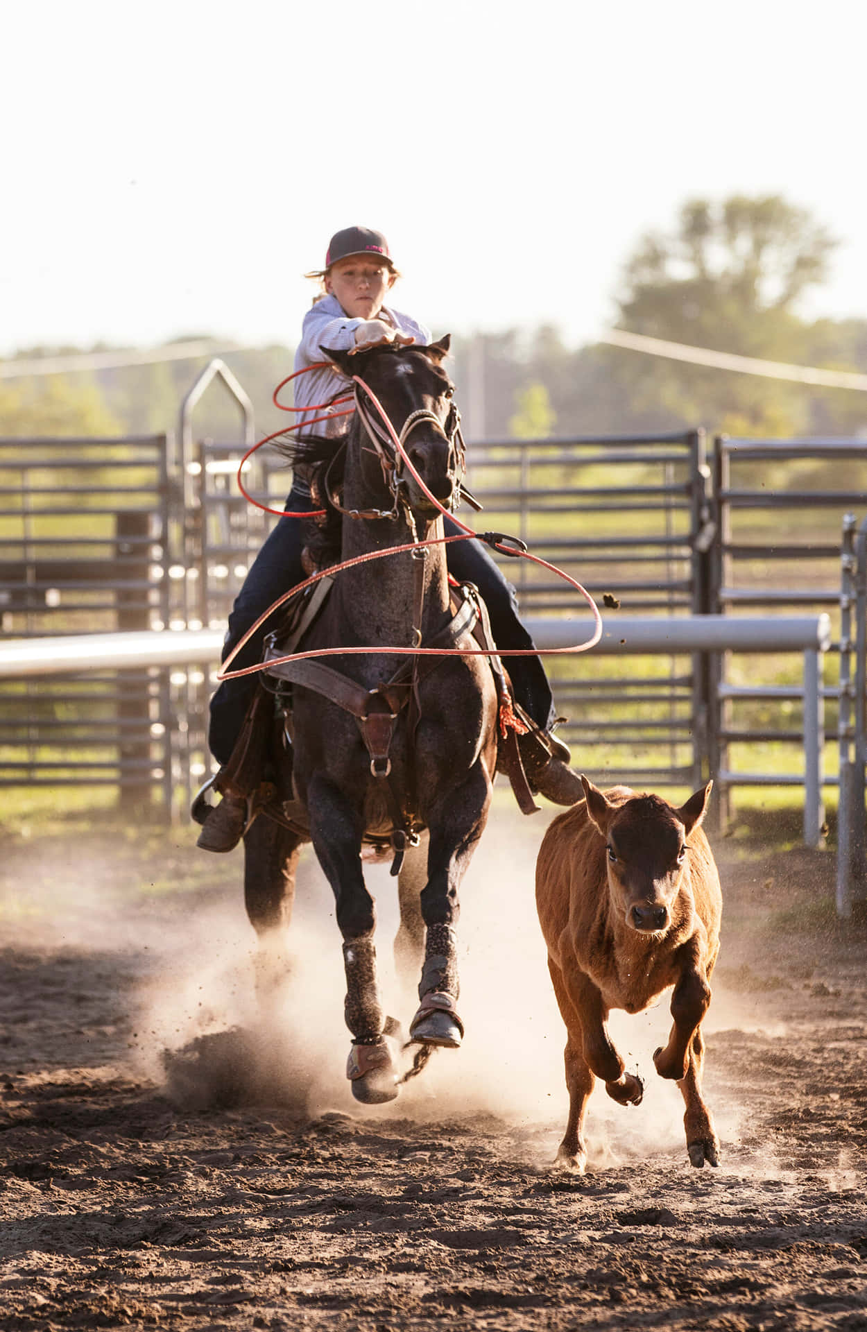 Two Cowboys Team Up To Put On A Show