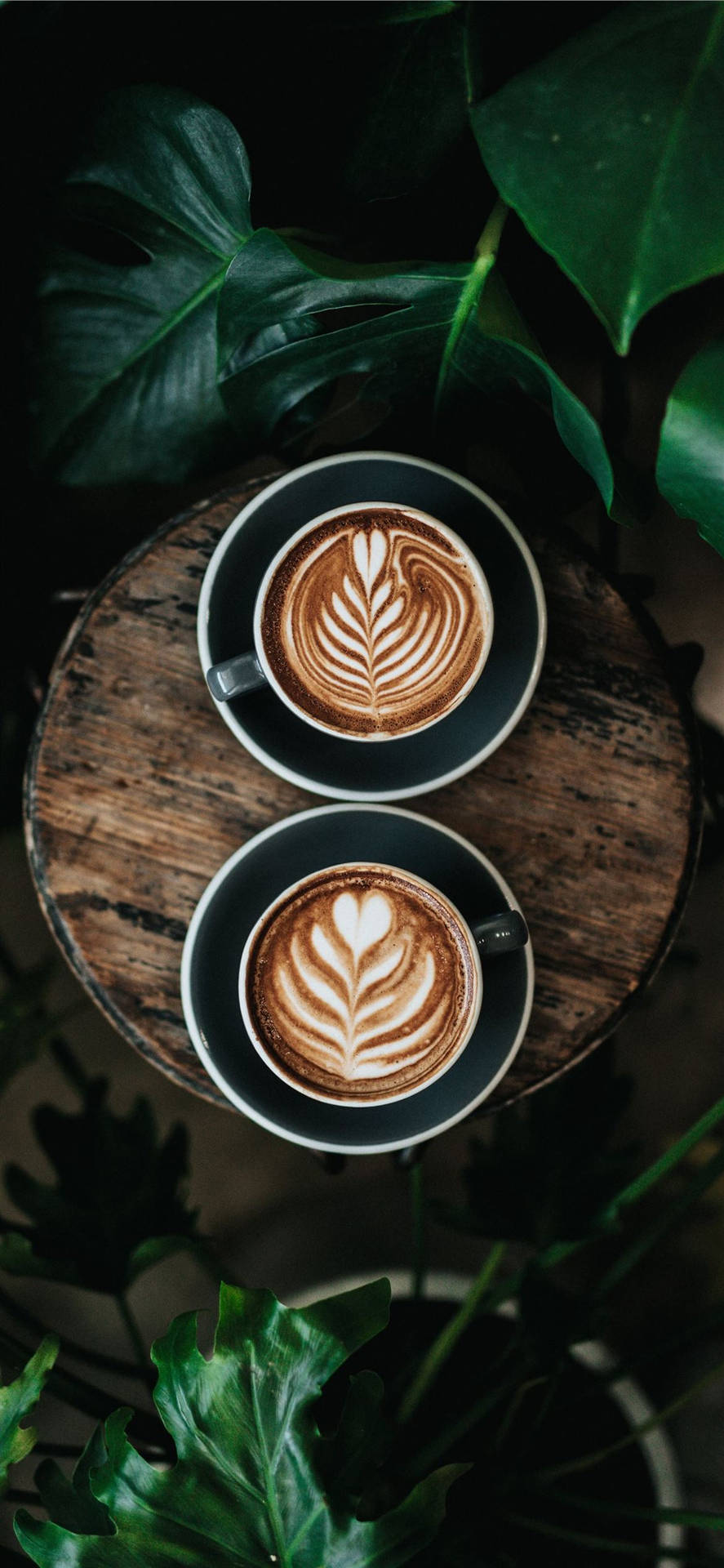 Two Cups Of Coffee Aesthetic Background