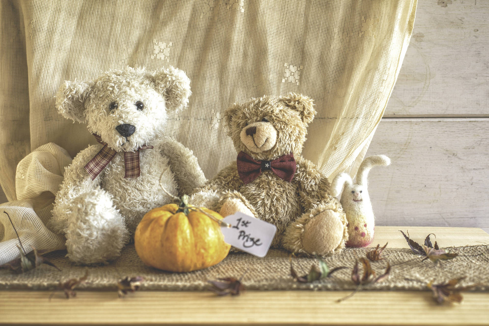 Two Cute Teddy Bear Background