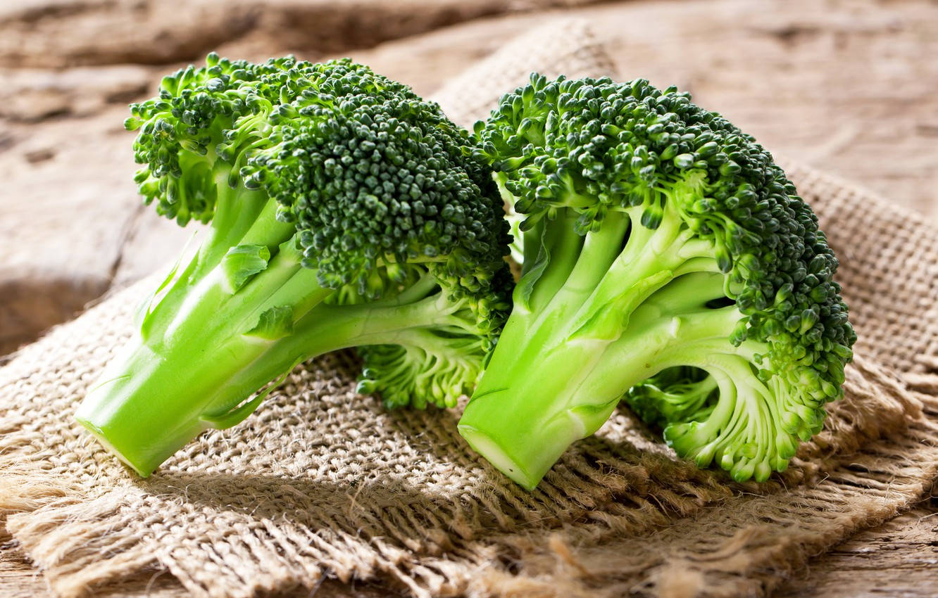 Two Dark Green Broccoli Heads Background