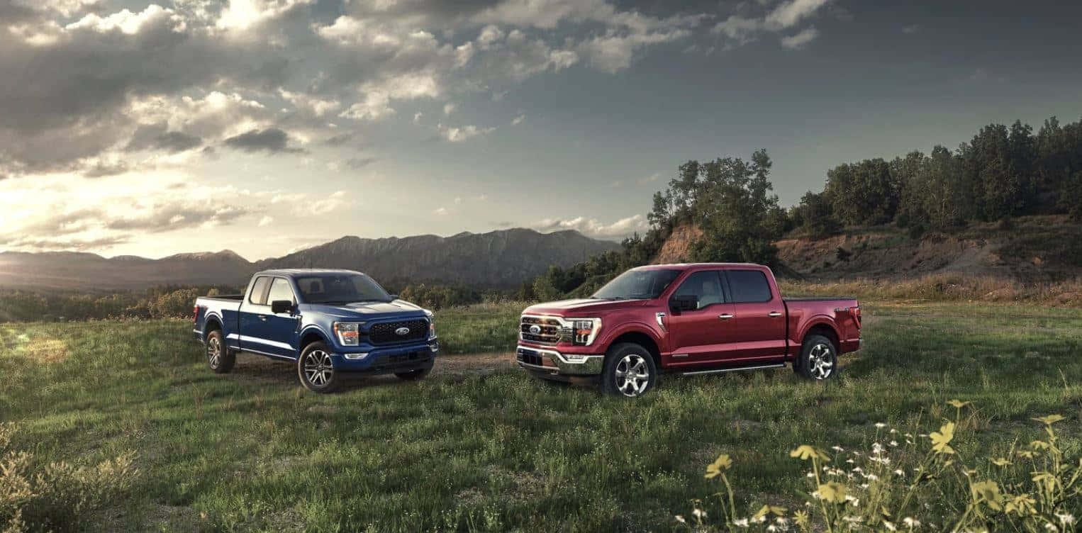 Two Ford F - 150 Trucks Parked In A Field Background